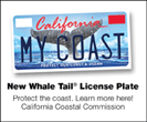 MY COAST plate badge